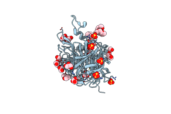 7EHT image