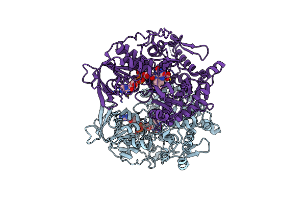 7EII image