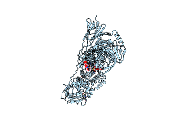 7EIR image
