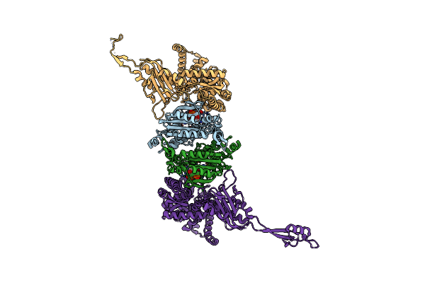 7EIV image
