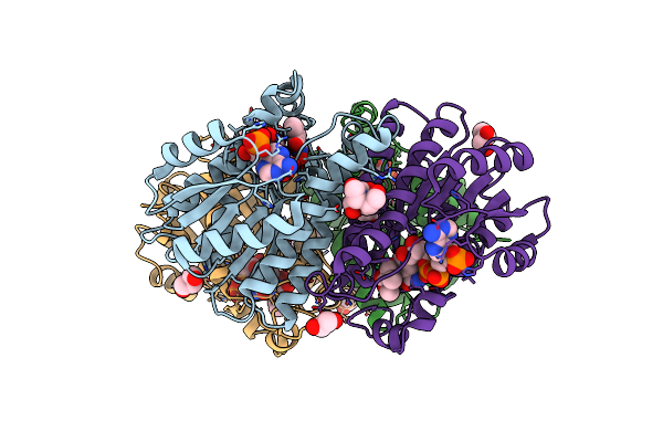 7EJI image