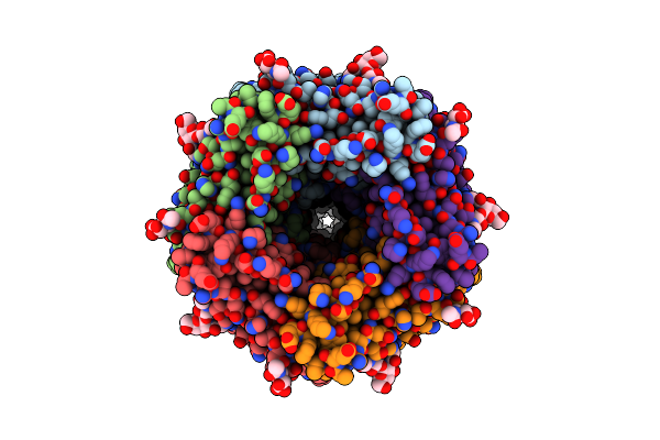 7EKT image