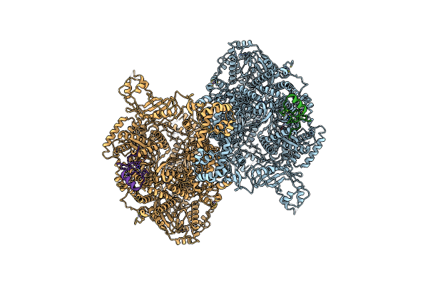 7ELB image