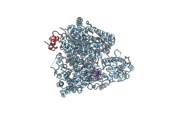 7ELC image