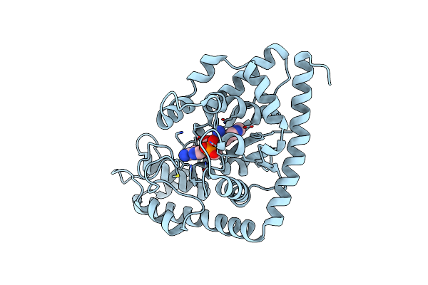 7ELT image