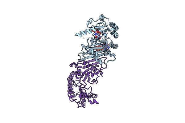 7EM7 image