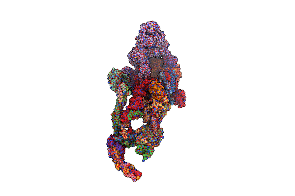 7EMF image