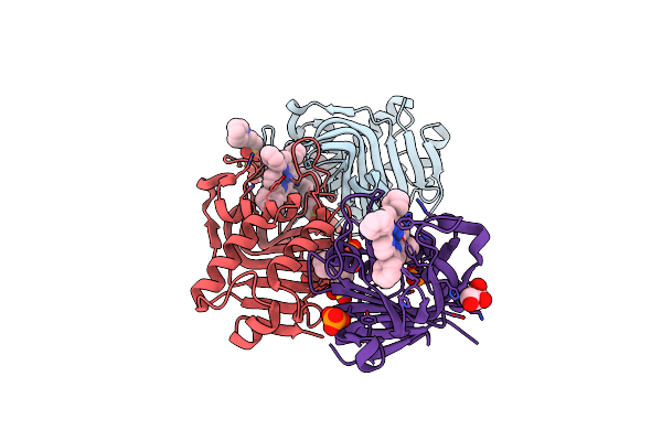 7EMR image