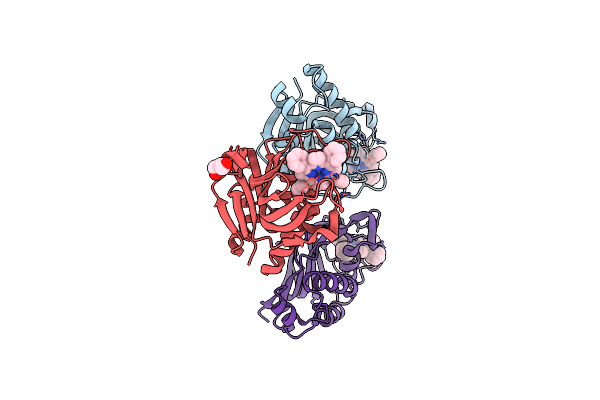 7EMS image