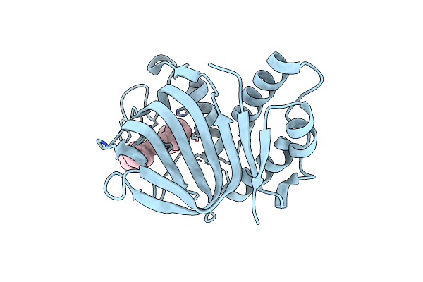 7EMT image