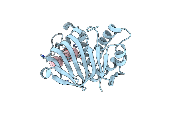 7EMW image