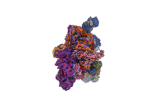 7ENA image