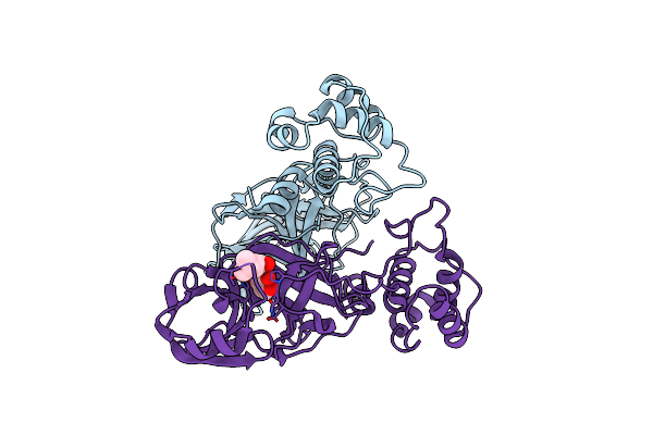7EO7 image