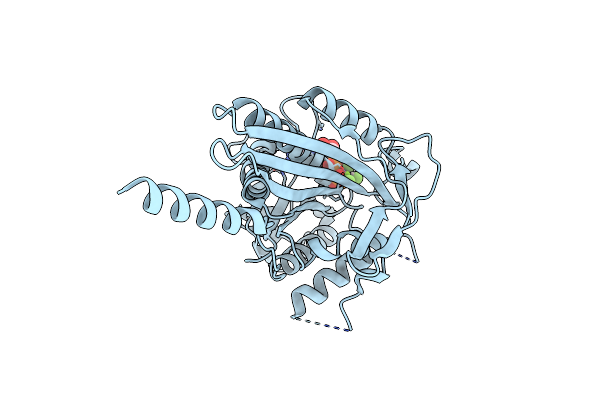7EOB image