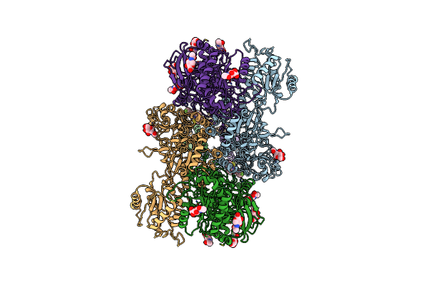 7EOR image