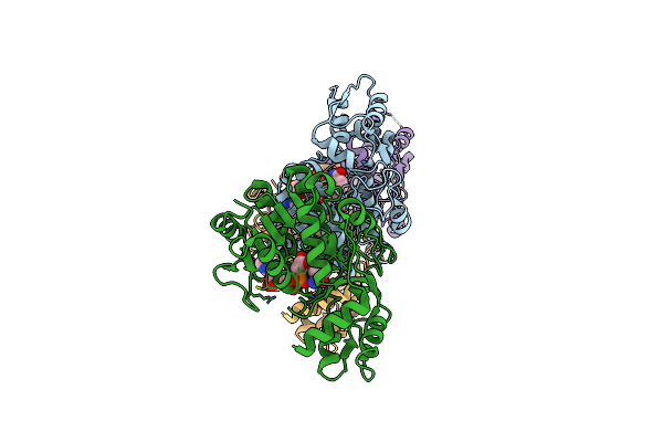 7EPR image