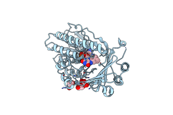 7EPV image