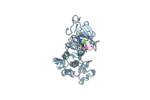 7ER2 image
