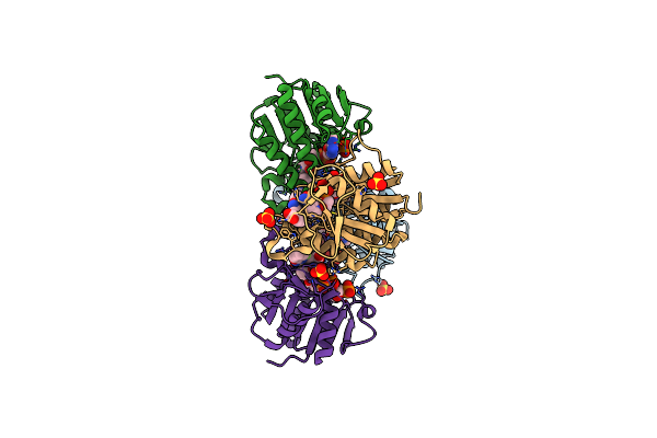 7ERB image
