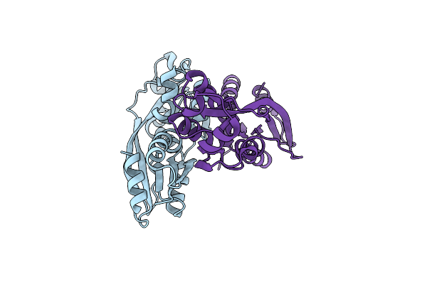 7ERQ image