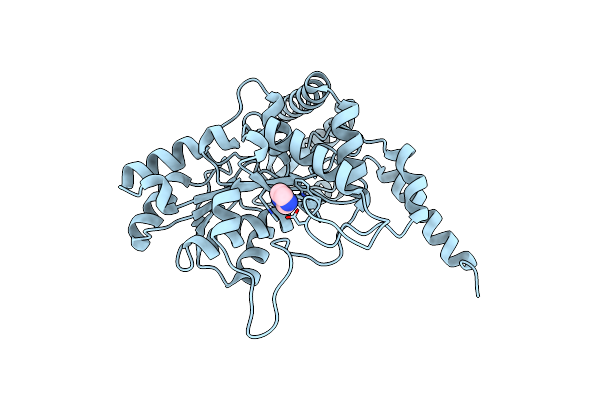 7ERV image