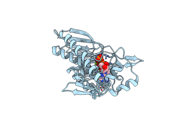 7ESB image