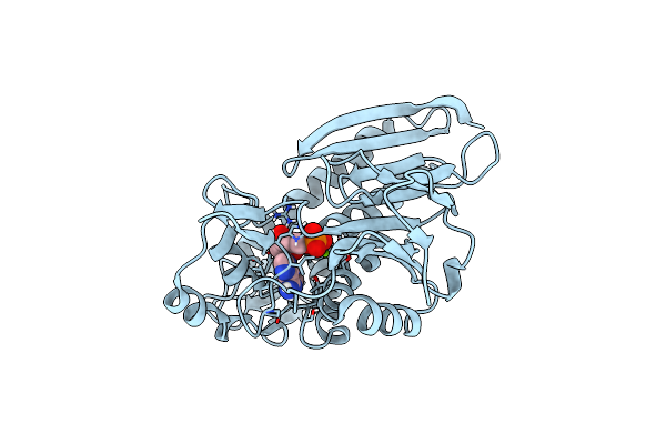 7ESC image