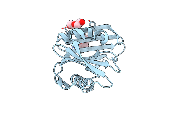 7ESF image