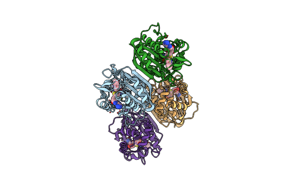 7ET7 image