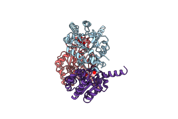 7ETG image