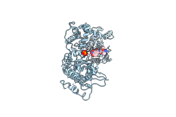 7EV4 image