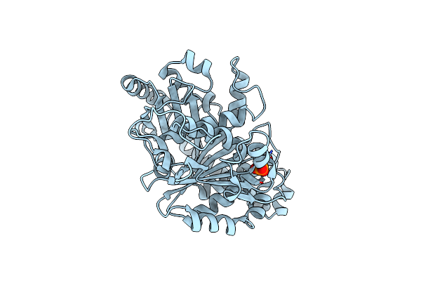 7EVG image