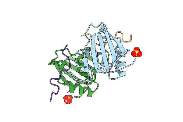 7EVS image