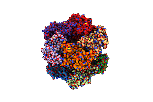 7EVT image