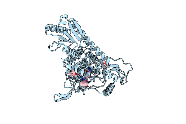 7EVV image