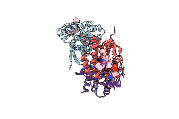 7EWB image