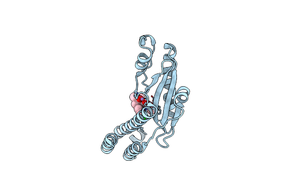 7EX8 image