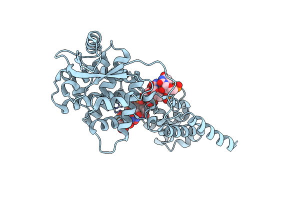 7EXA image