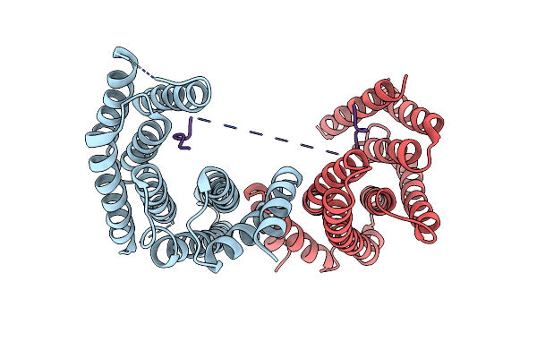 7EXE image