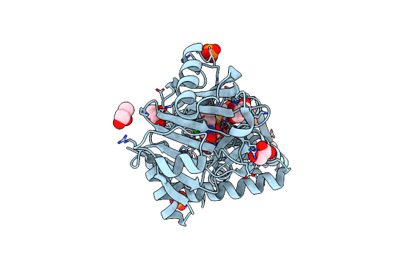 7EXS image