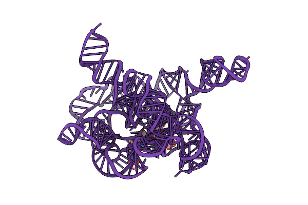 7EZ2 image