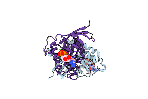 7EZB image