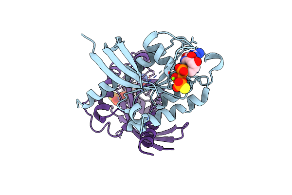 7EZE image