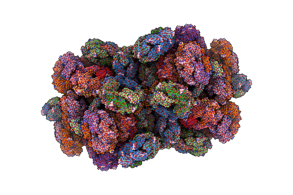 7EZX image