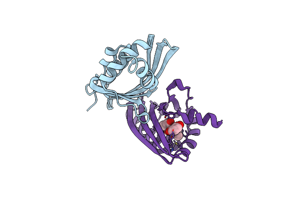 7F11 image