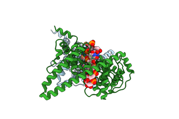 7F1M image
