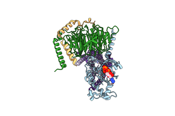 7F24 image