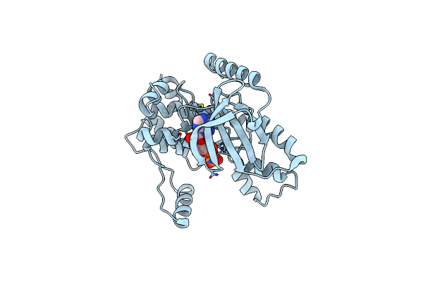 7F2X image
