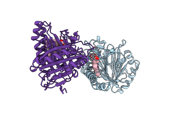 7F2Z image