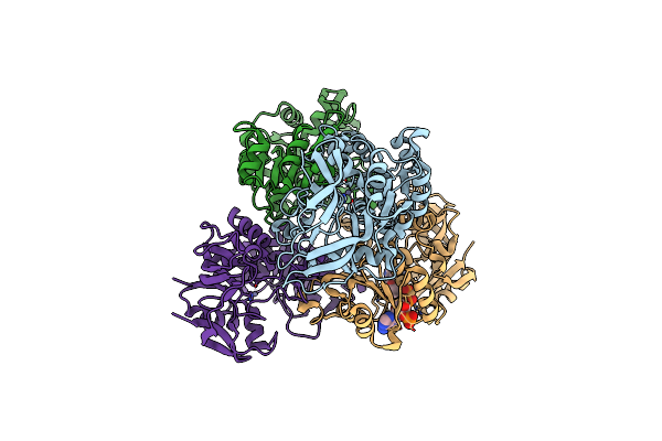 7F3P image